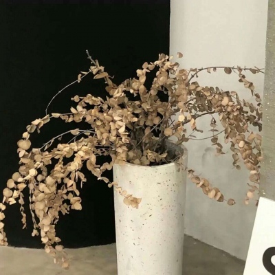 Furry绘画细节灵感FurryQQ群